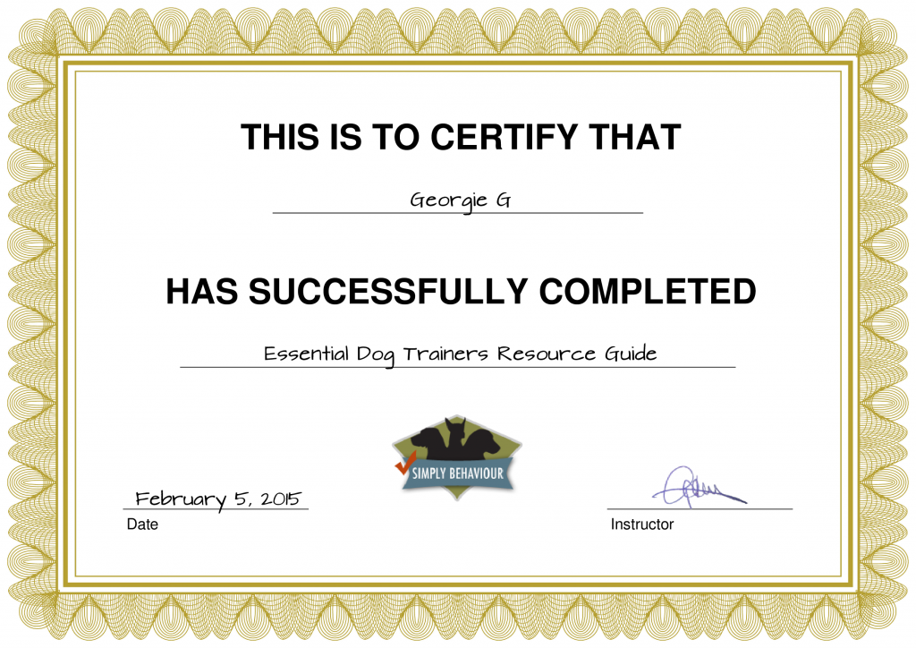 certificate_8_